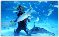 immersioni_diving_snorkeling-maldive